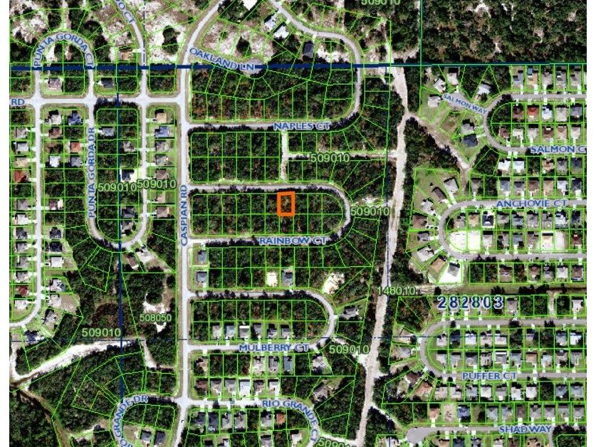 Rainbow Court Poinciana FL 34759 O6087259 image1