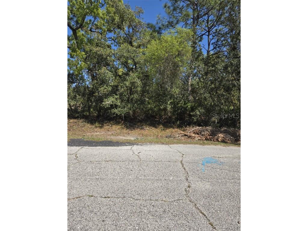 Rainbow Court Poinciana FL 34759 S5122792 image1