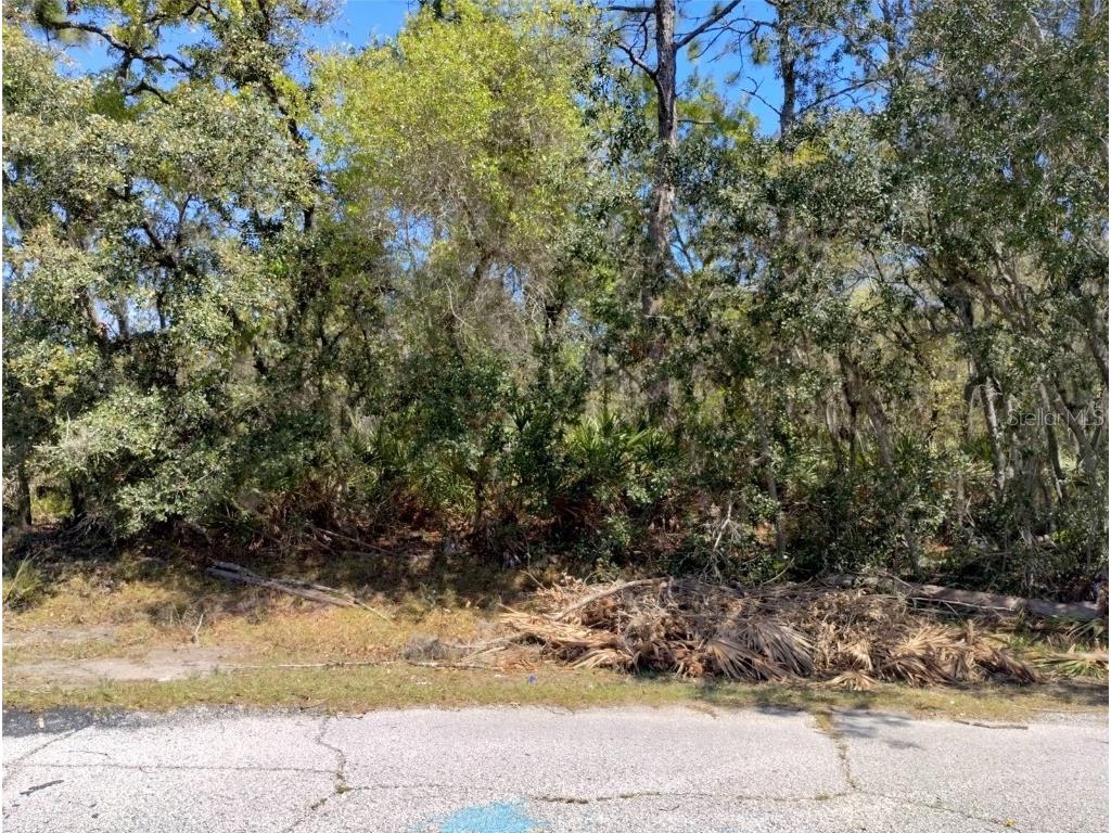 Rainbow Court Poinciana FL 34759 S5122792 image2