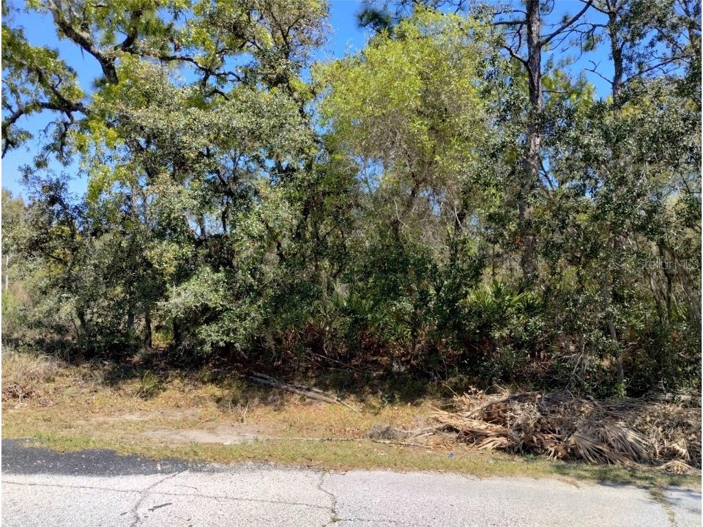 Rainbow Court Poinciana FL 34759 S5122792 image3