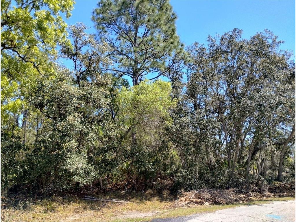 Rainbow Court Poinciana FL 34759 S5122792 image4