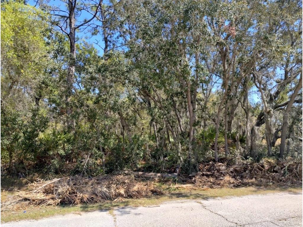 Rainbow Court Poinciana FL 34759 S5122792 image5