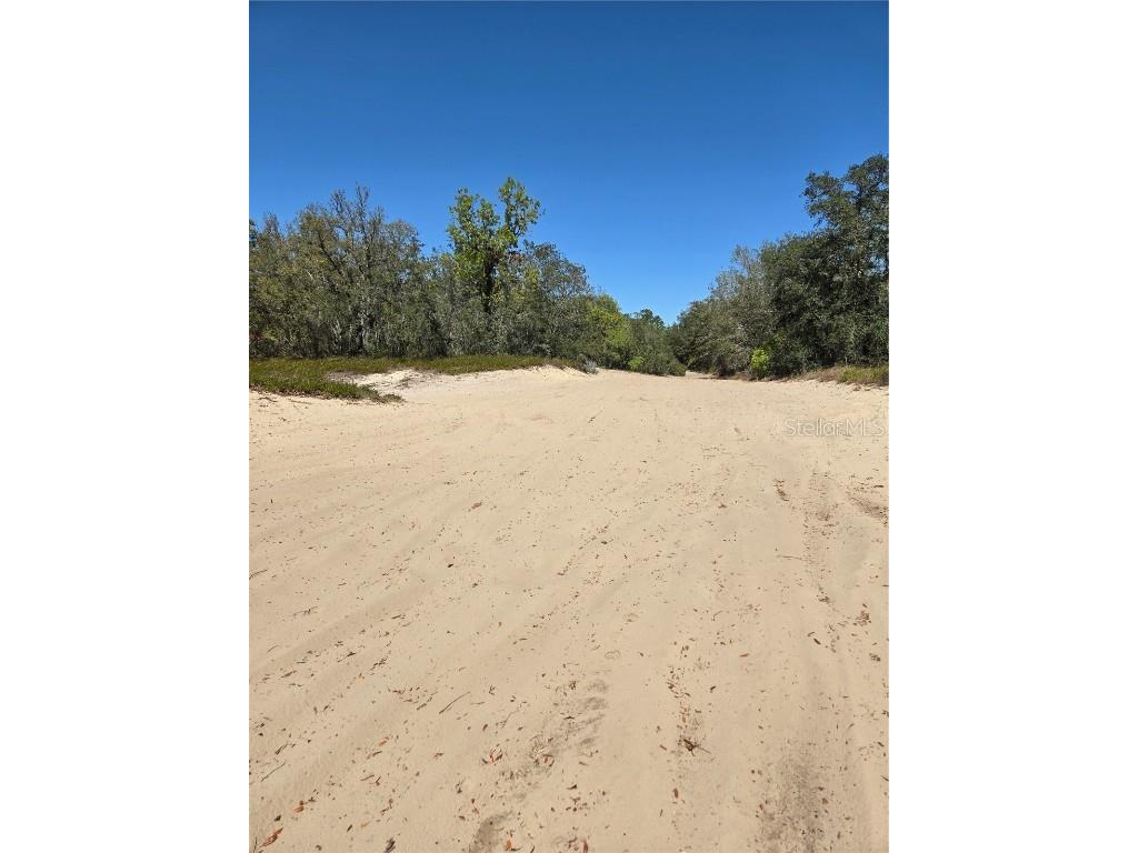 Rainbow Court Poinciana FL 34759 S5122792 image6