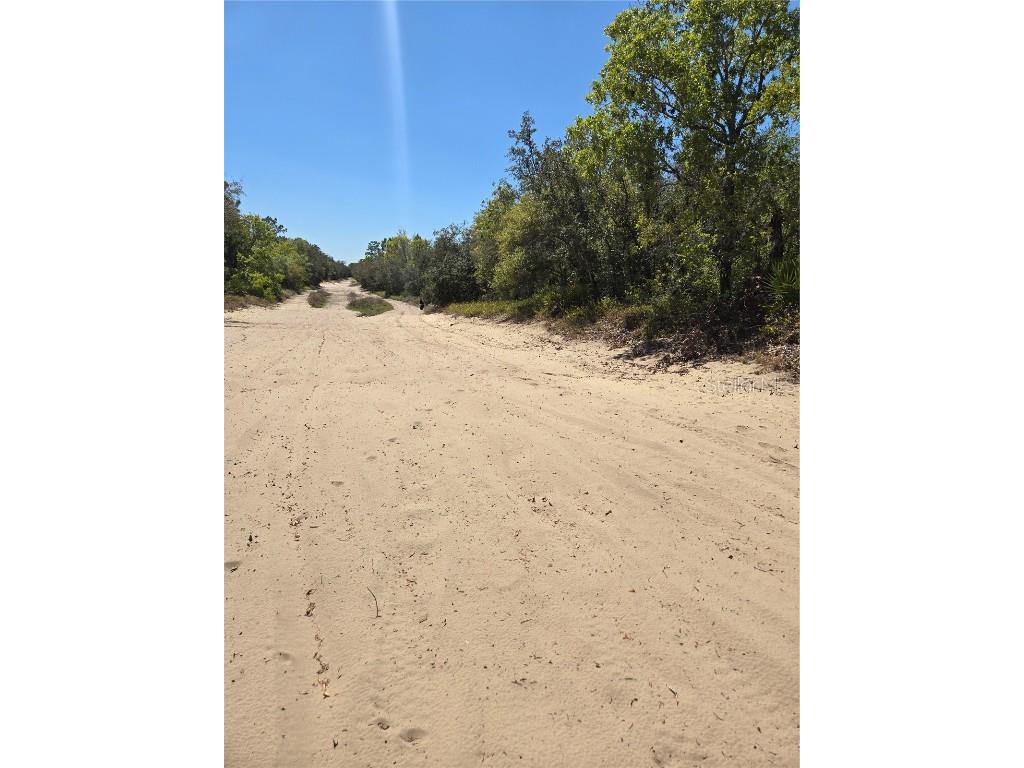 Rainbow Court Poinciana FL 34759 S5122792 image7