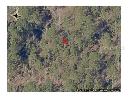 Rainbow Lakes Estates Holly Rd Dunnellon FL 34431 GC532696 image1