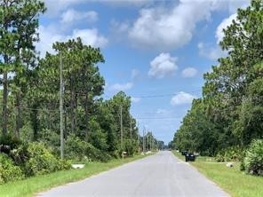 Ralston Street Orlando FL 32833 C7524799 image2