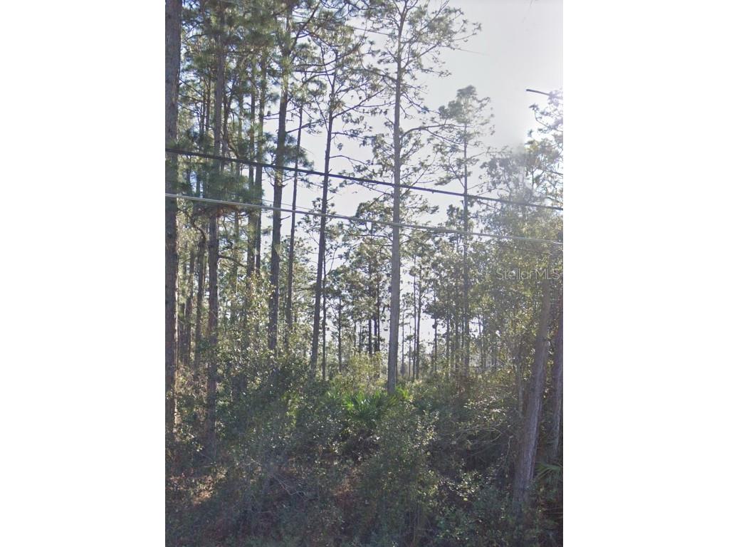 Ralston Street Orlando FL 32833 G5077293 image2