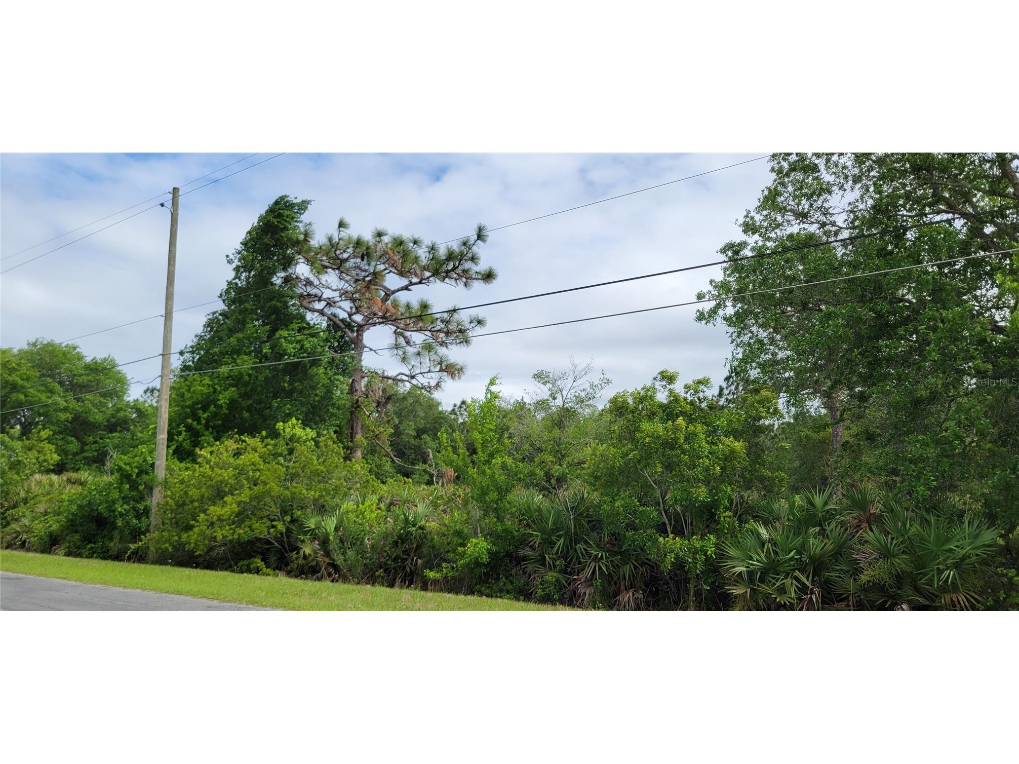 Ralston Street Orlando FL 32833 OM723494 image3