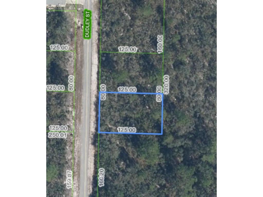 Ramiro Street Lake Placid FL 33852 O6289803 image1