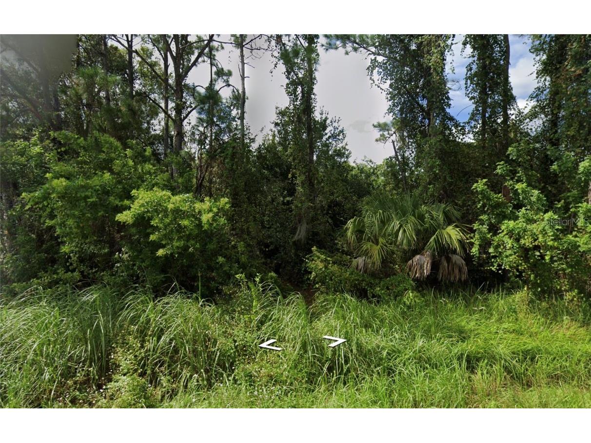 Ramsey Palm Bay FL 32909 O6237474 image2