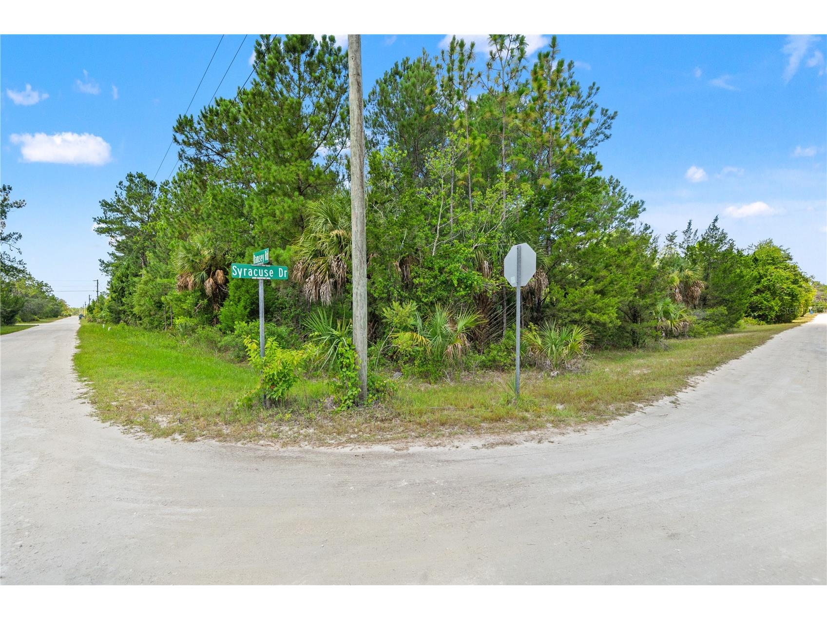 Ramsey Road #16 Weeki Wachee FL 34614 TB8526036 image1