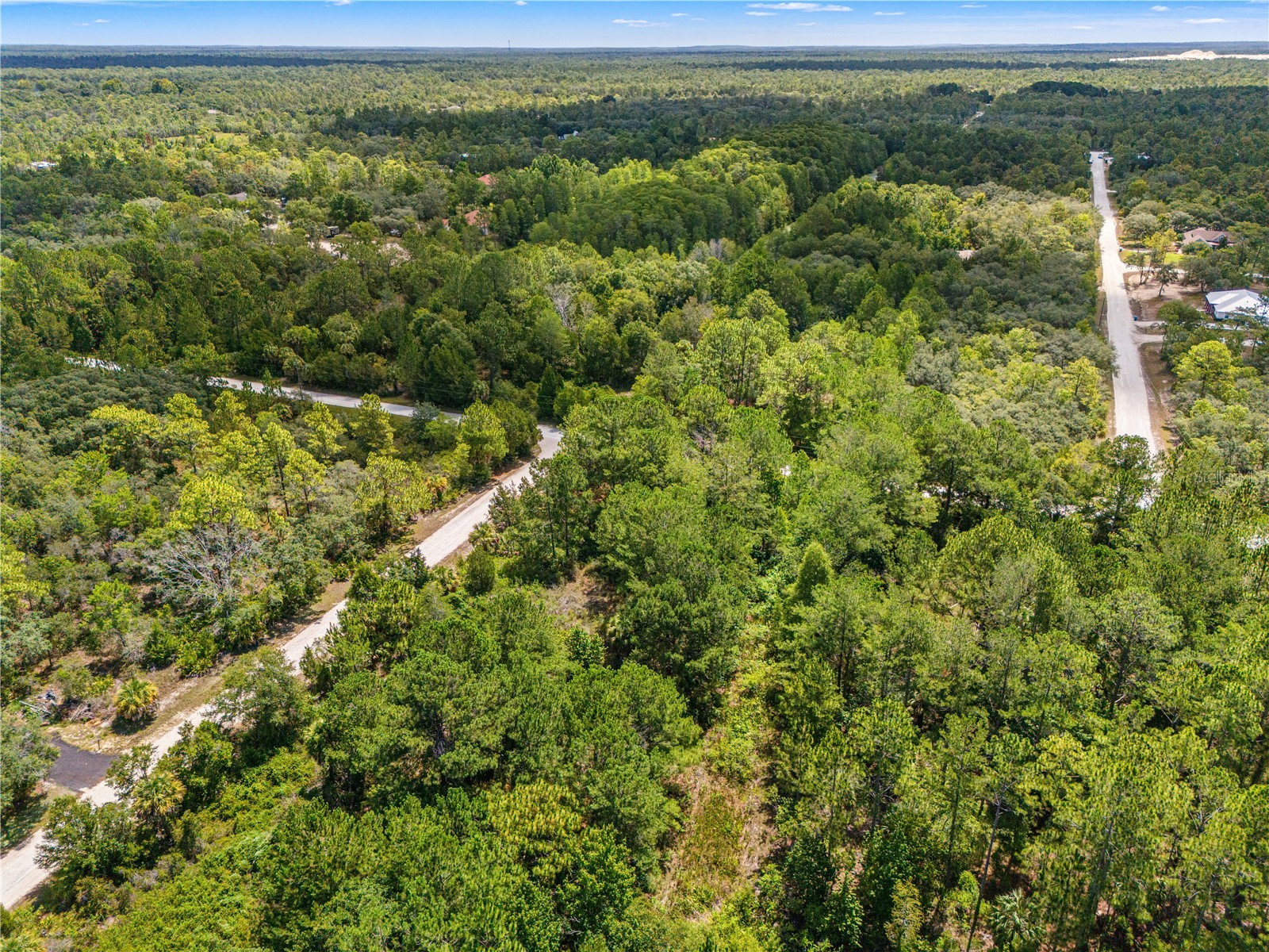Ramsey Road #16 Weeki Wachee FL 34614 TB8526036 image12