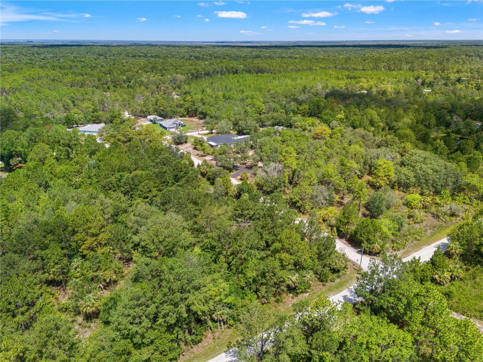 Ramsey Road #16 Weeki Wachee FL 34614 TB8526036 image14