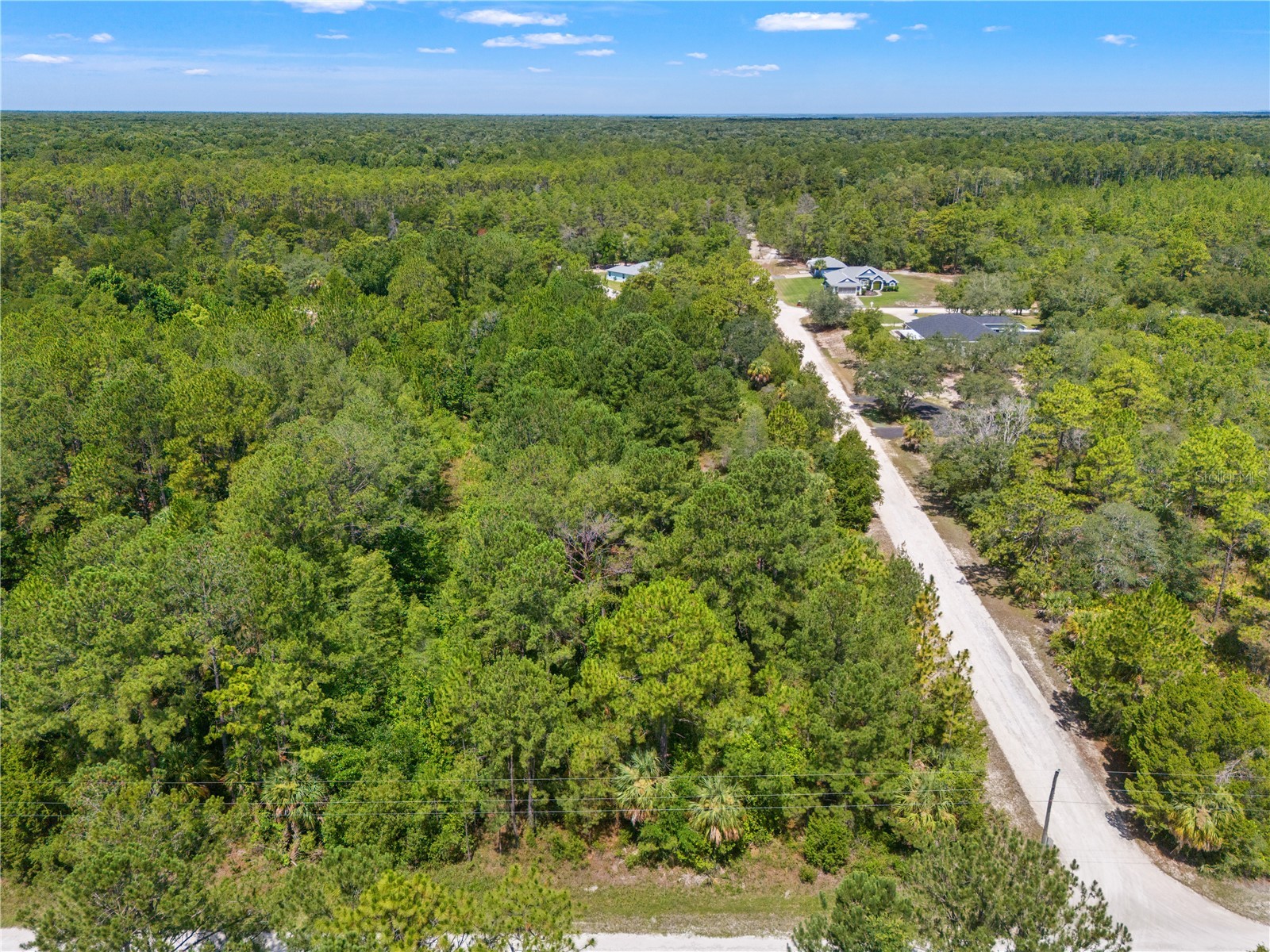 Ramsey Road #16 Weeki Wachee FL 34614 TB8526036 image15