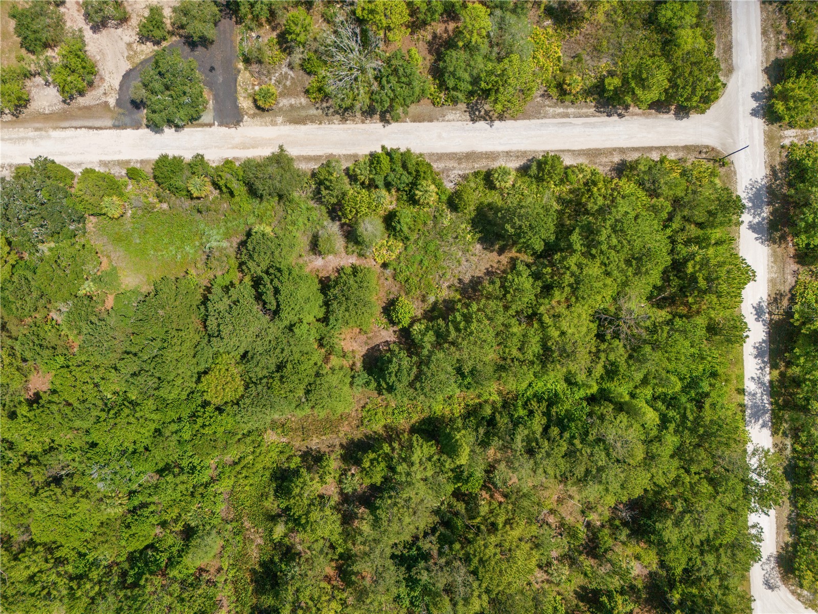 Ramsey Road #16 Weeki Wachee FL 34614 TB8526036 image16