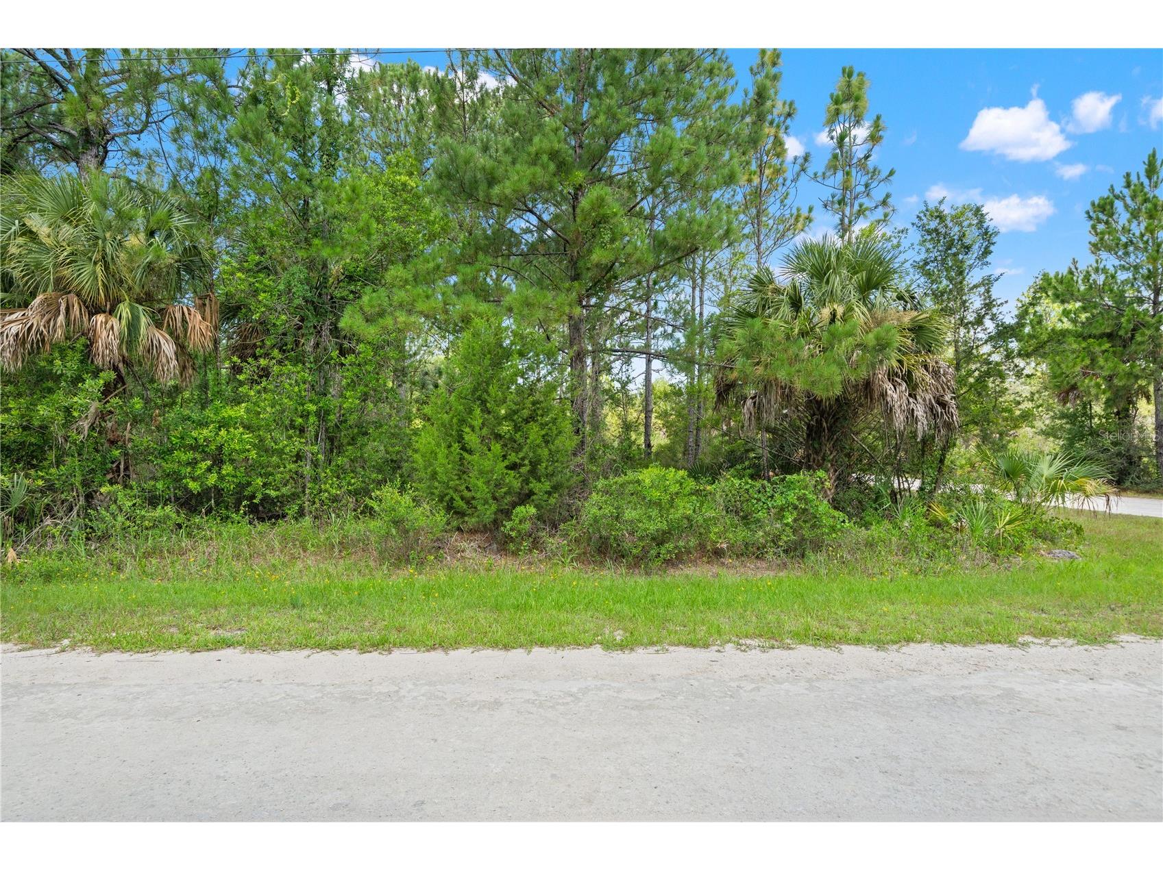 Ramsey Road #16 Weeki Wachee FL 34614 TB8526036 image2