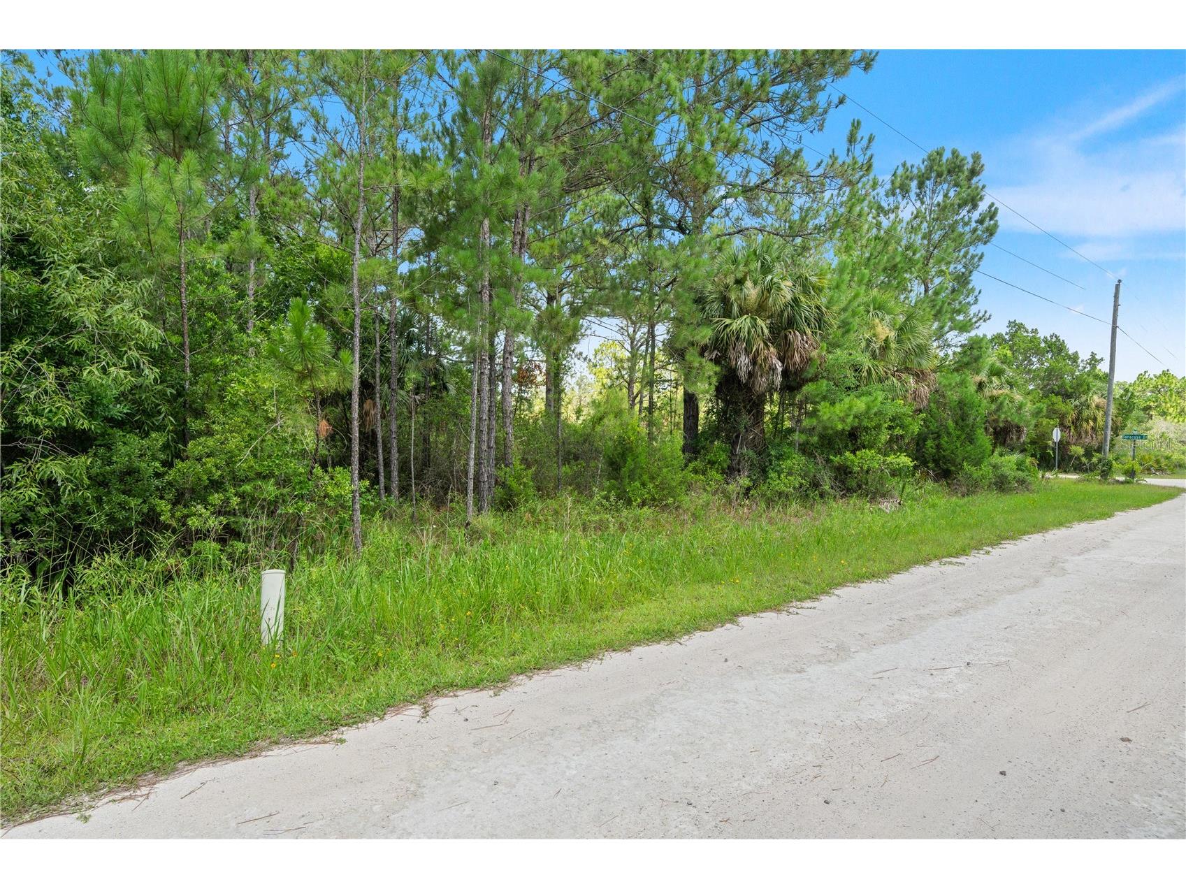 Ramsey Road #16 Weeki Wachee FL 34614 TB8526036 image3