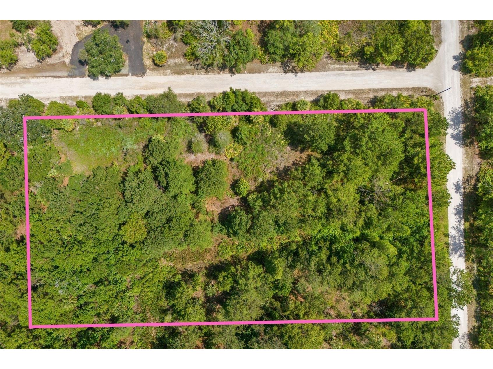 Ramsey Road #16 Weeki Wachee FL 34614 TB8526036 image4