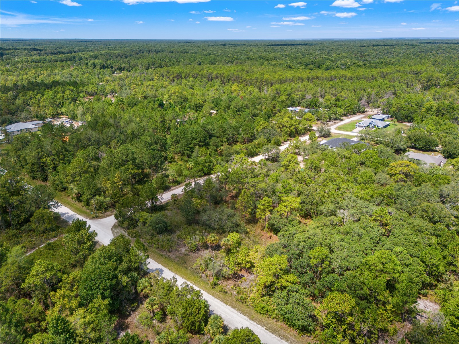 Ramsey Road #16 Weeki Wachee FL 34614 TB8526036 image5