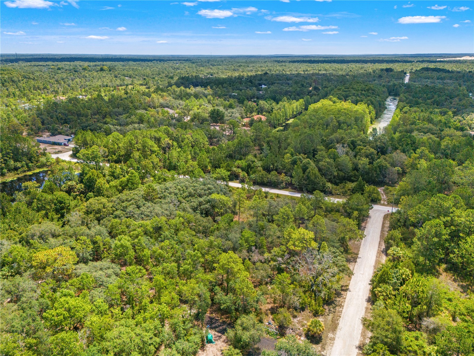 Ramsey Road #16 Weeki Wachee FL 34614 TB8526036 image7