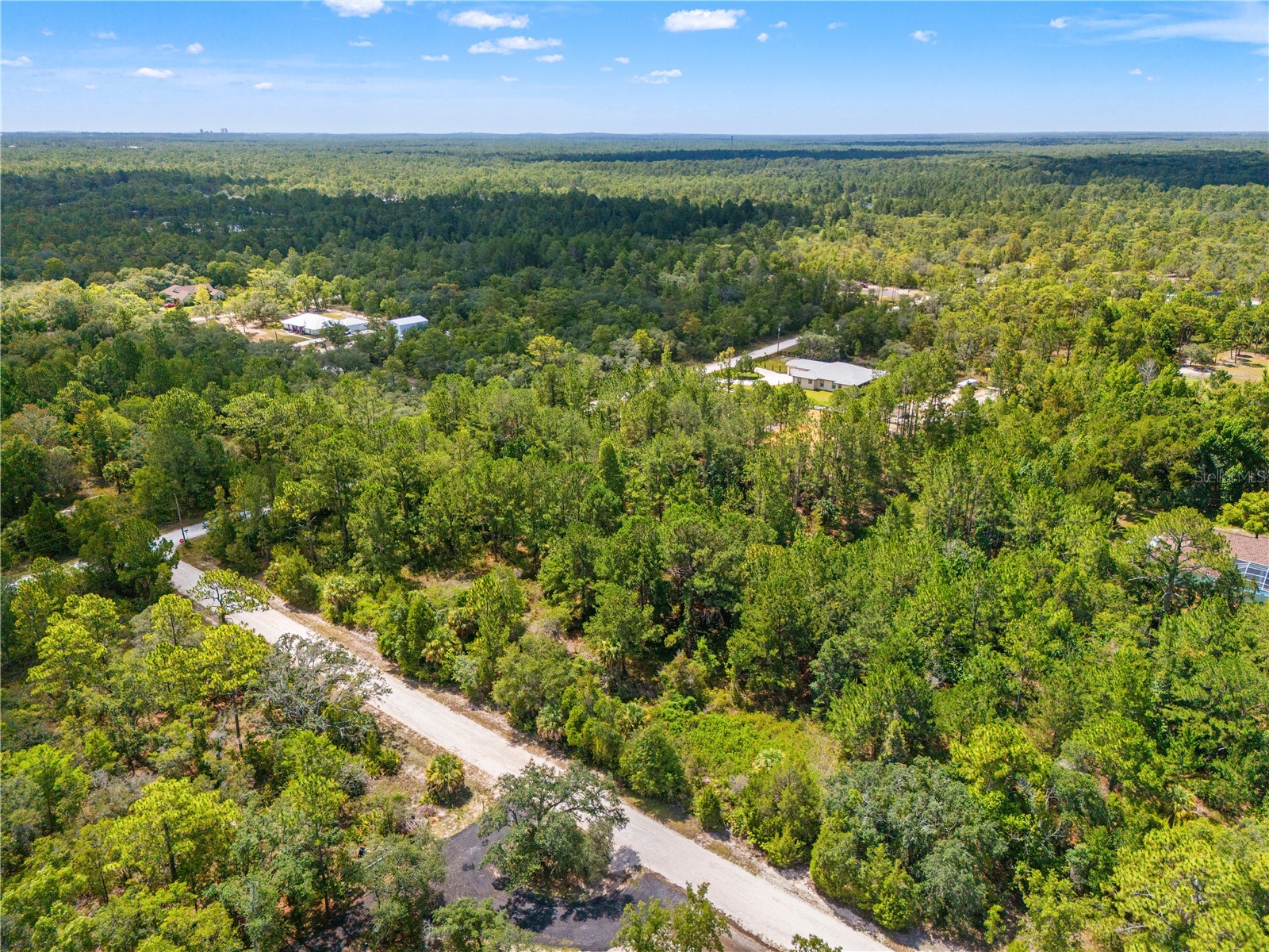 Ramsey Road #16 Weeki Wachee FL 34614 TB8526036 image9
