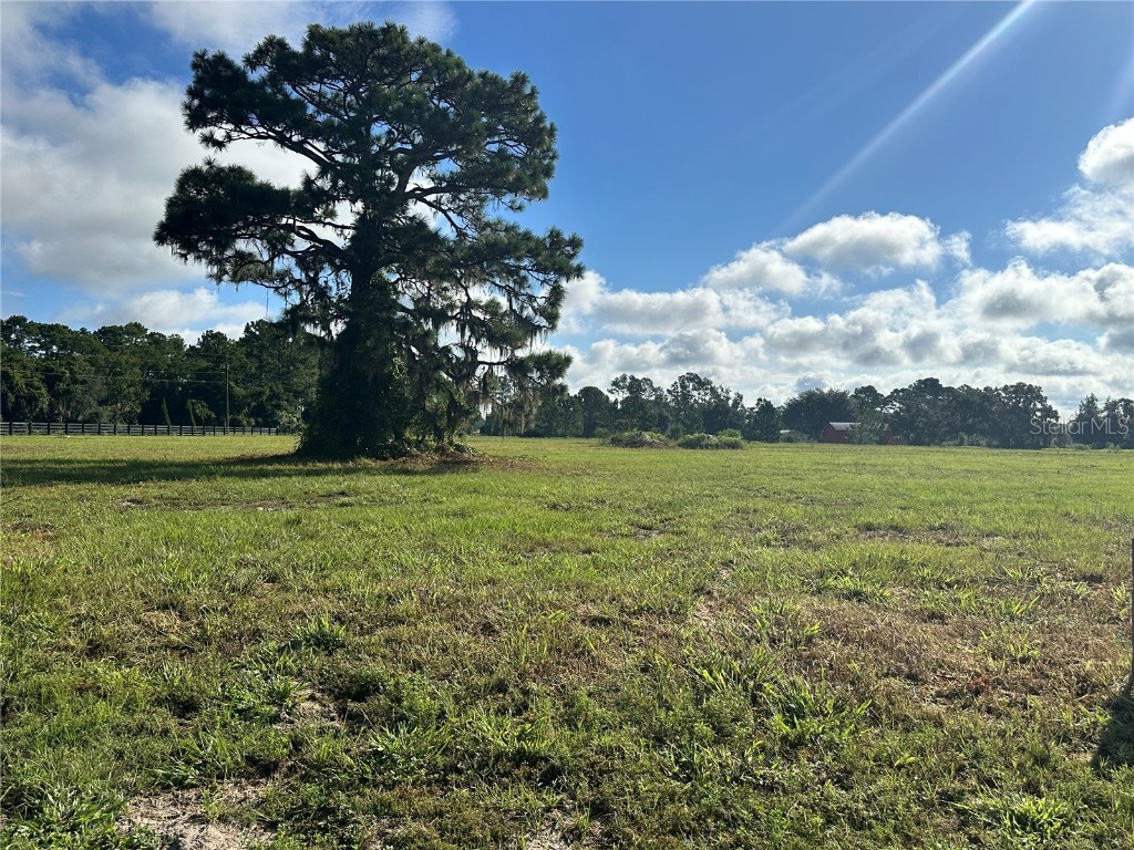 Ranch Gate Blvd Umatilla FL 32784 - LAKE DALHOUSIE O6343065 image10