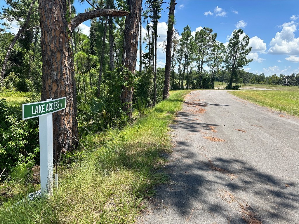 Ranch Gate Blvd Umatilla FL 32784 - LAKE DALHOUSIE O6343065 image15