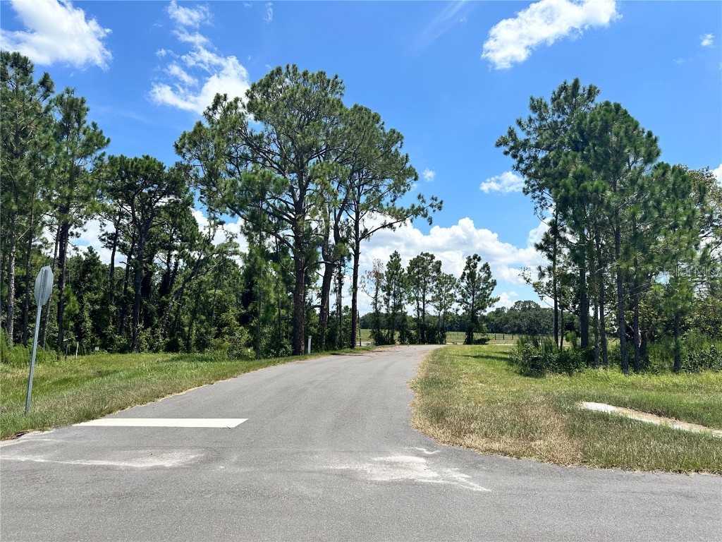 Ranch Gate Blvd Umatilla FL 32784 - LAKE DALHOUSIE O6343065 image16