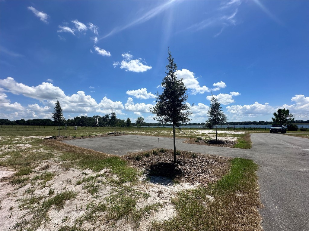 Ranch Gate Blvd Umatilla FL 32784 - LAKE DALHOUSIE O6343065 image18