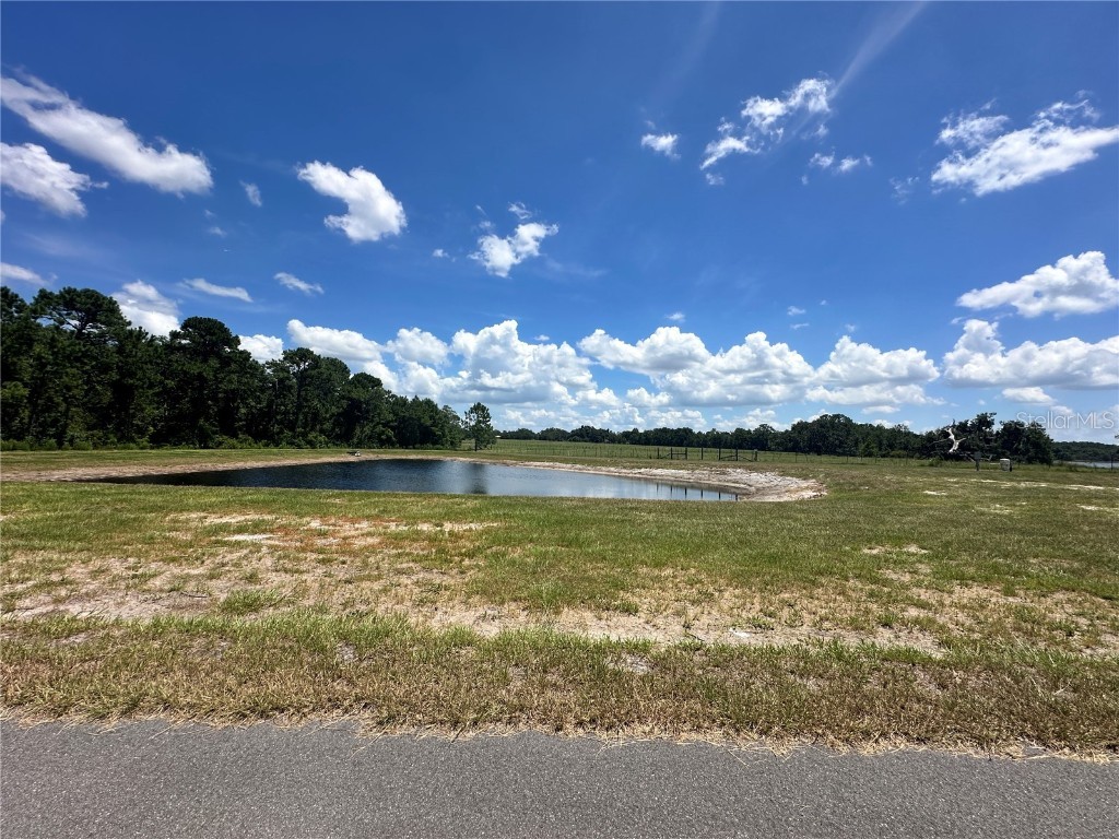 Ranch Gate Blvd Umatilla FL 32784 - LAKE DALHOUSIE O6343065 image19