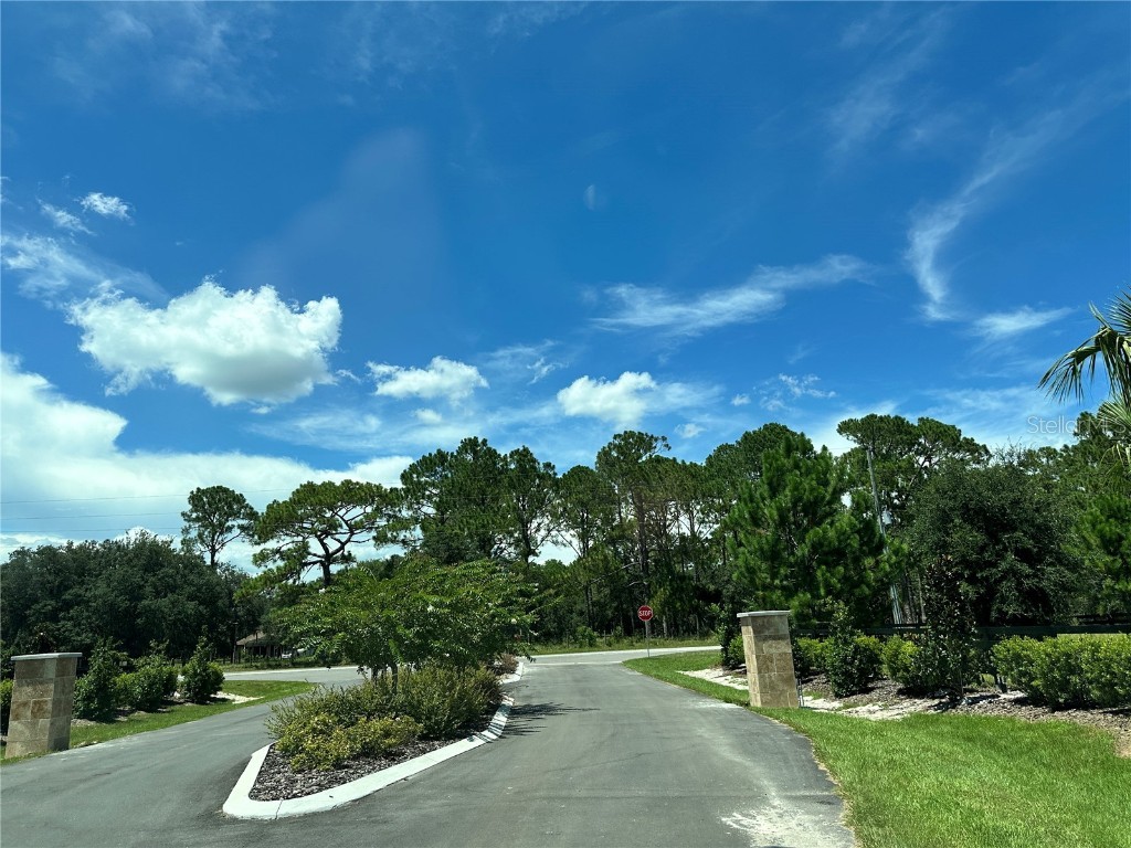 Ranch Gate Blvd Umatilla FL 32784 - LAKE DALHOUSIE O6343065 image30