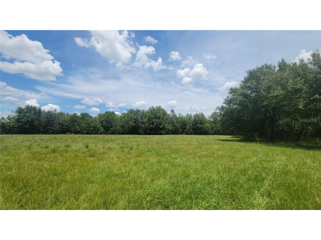 Ranch Road Brandon FL 33511 T3462401 image1