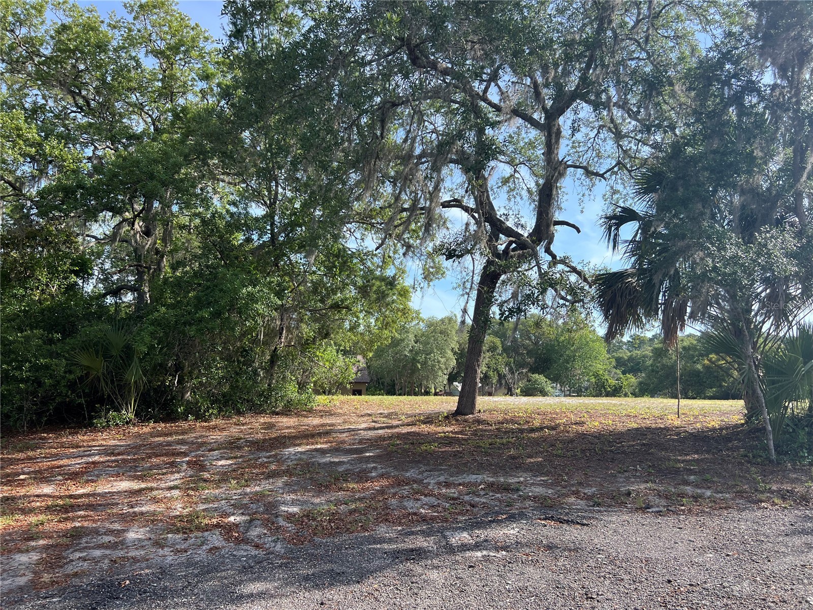Ranchero Road Deland FL 32720 V4948907 image1