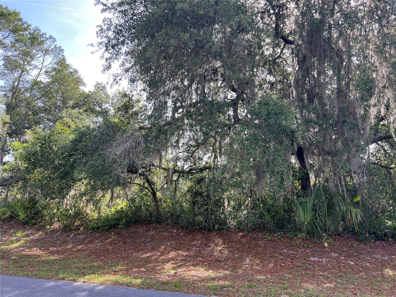 Ranchero Road Deland FL 32720 V4948907 image2