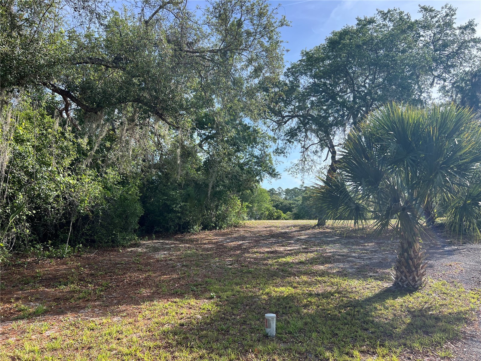Ranchero Road Deland FL 32720 V4948907 image4
