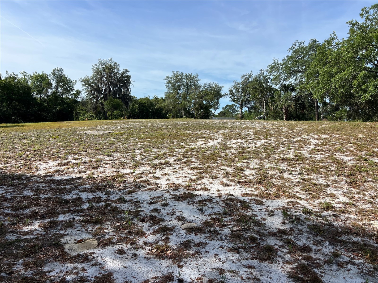 Ranchero Road Deland FL 32720 V4948907 image5