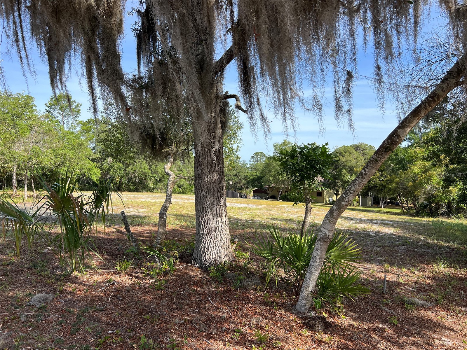 Ranchero Road Deland FL 32720 V4948907 image7