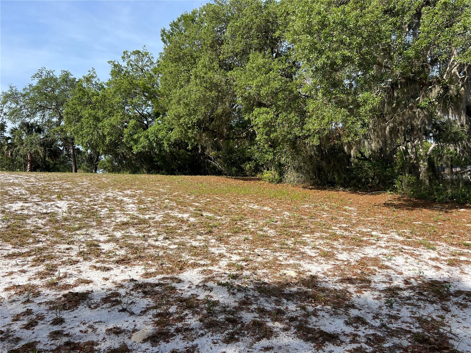 Ranchero Road Deland FL 32720 V4948907 image8