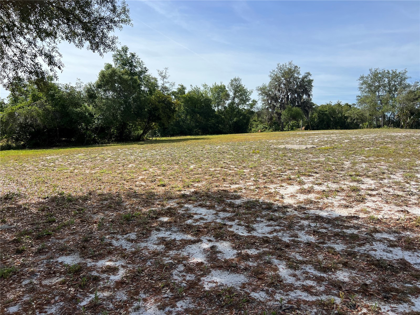 Ranchero Road Deland FL 32720 V4948907 image9