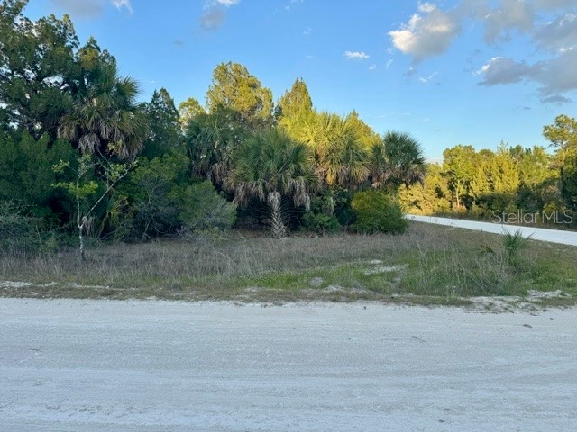 Rapidan Road Weeki Wachee FL 34614 W7885439 image2
