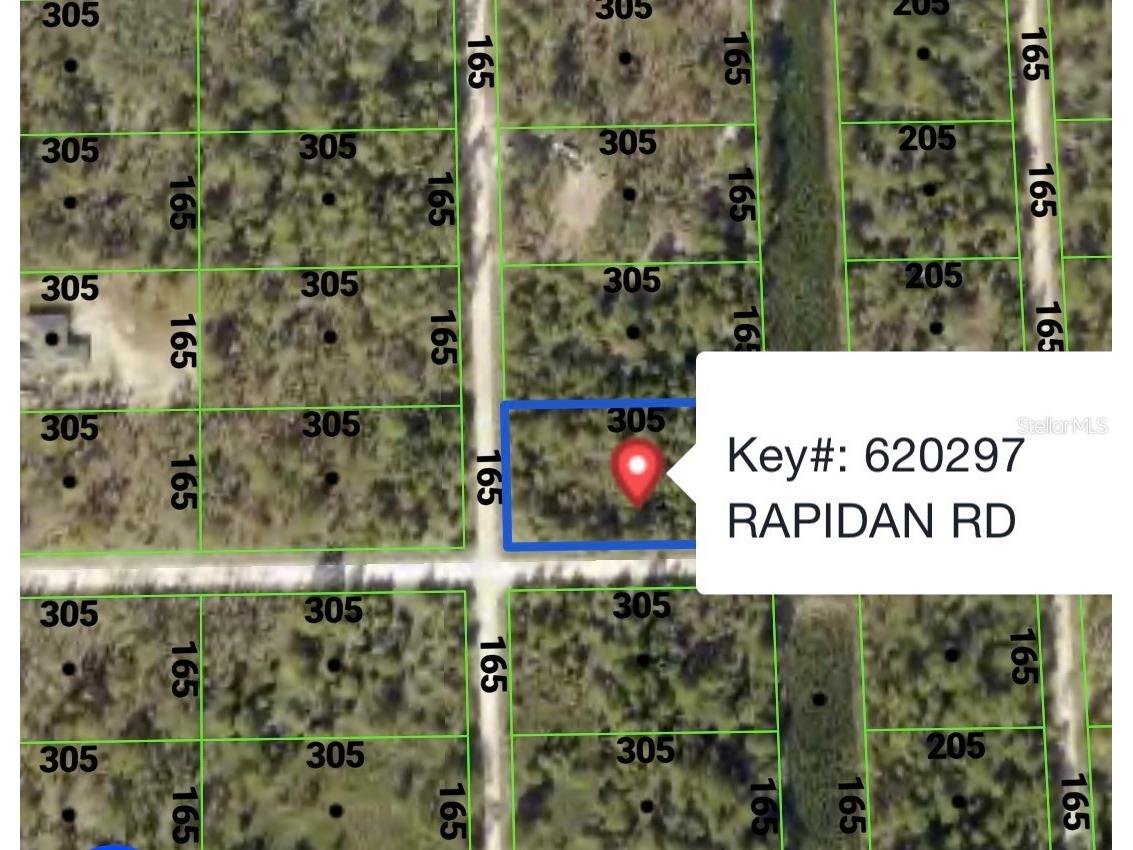 Rapidan Road Weeki Wachee FL 34614 W7885439 image4