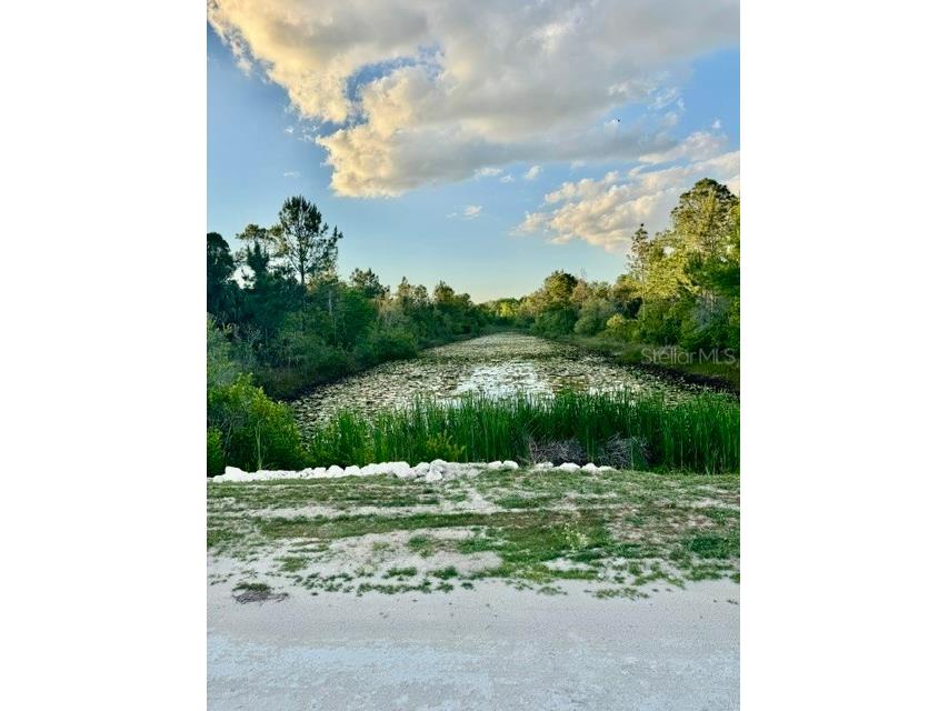 Rapidan Road Weeki Wachee FL 34614 W7885439 image5