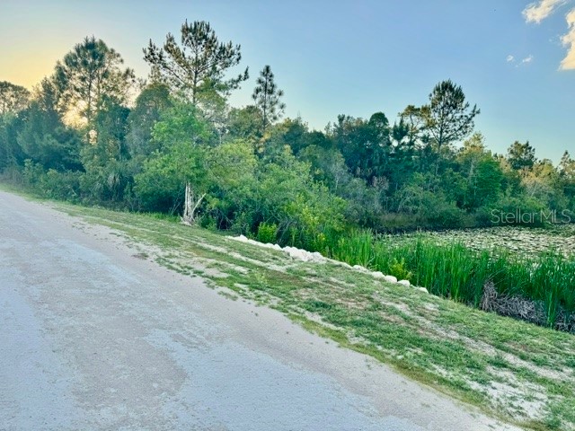 Rapidan Road Weeki Wachee FL 34614 W7885439 image6