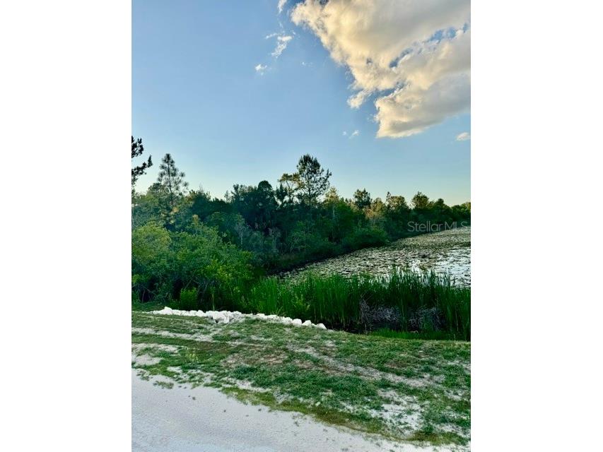 Rapidan Road Weeki Wachee FL 34614 W7885439 image7