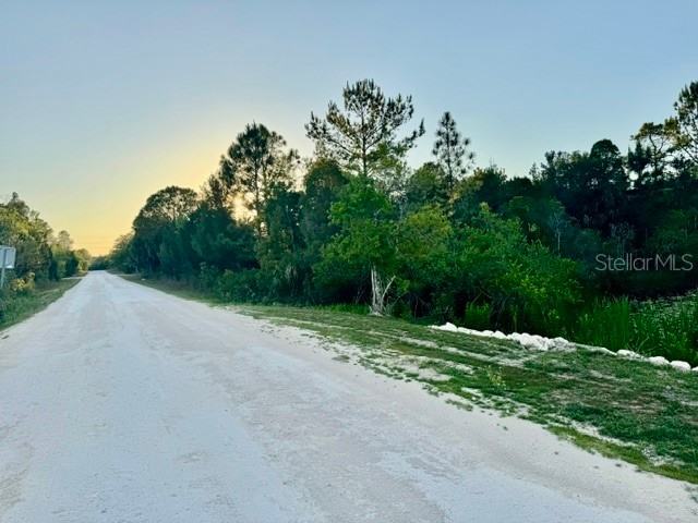 Rapidan Road Weeki Wachee FL 34614 W7885439 image8