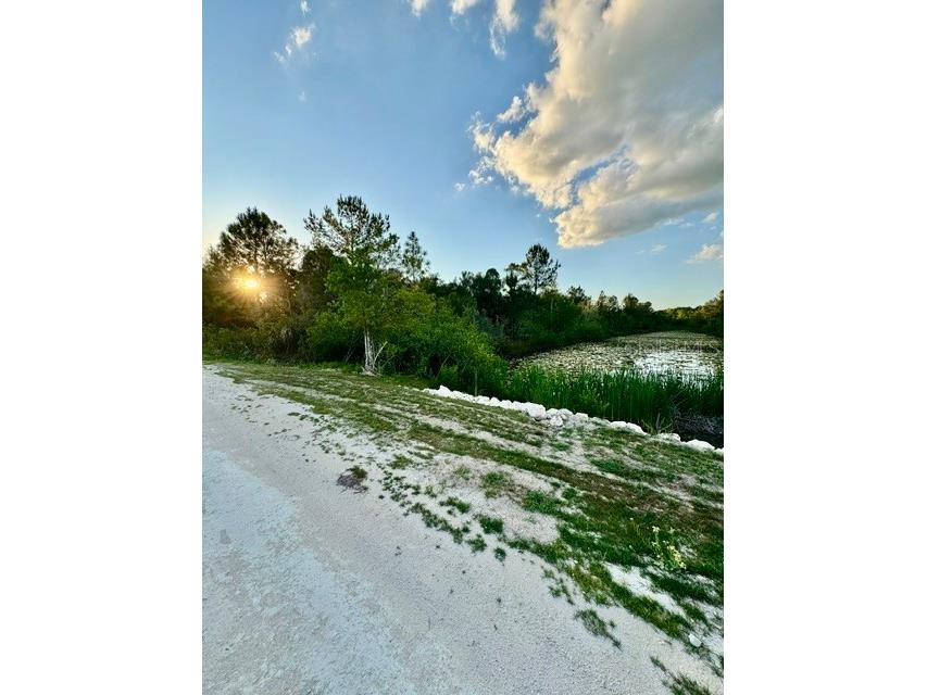 Rapidan Road Weeki Wachee FL 34614 W7885439 image9