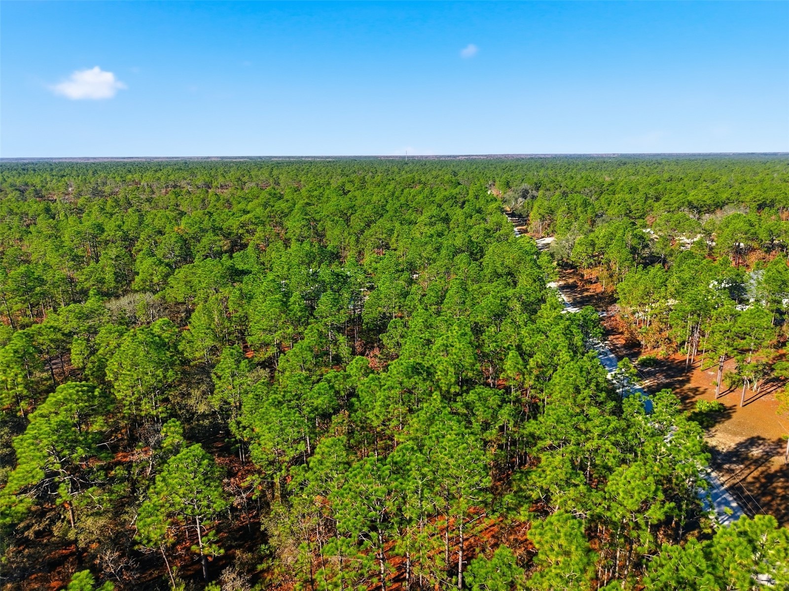 Raschke Run Weeki Wachee FL 34614 W7881459 image1