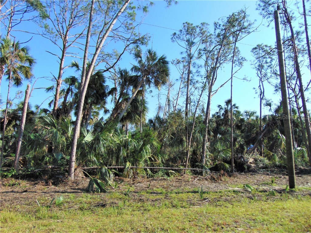 Raven Street North Port FL 34286 C7468963 image1