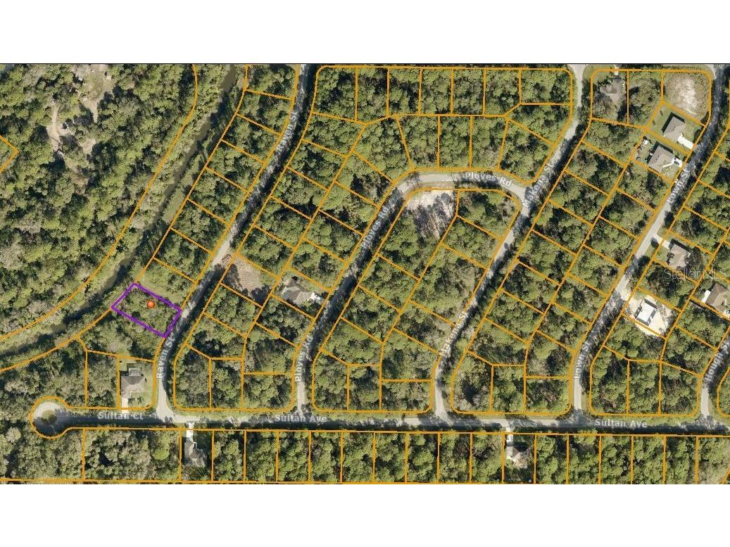 Raven Street North Port FL 34286 D6131654 image2