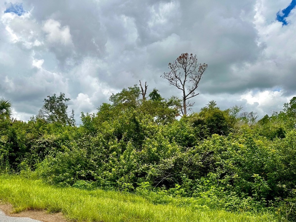 Raven Street North Port FL 34286 D6131654 image4